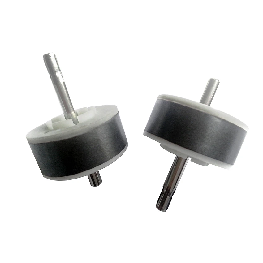 Magnetic Rotor And Impeller